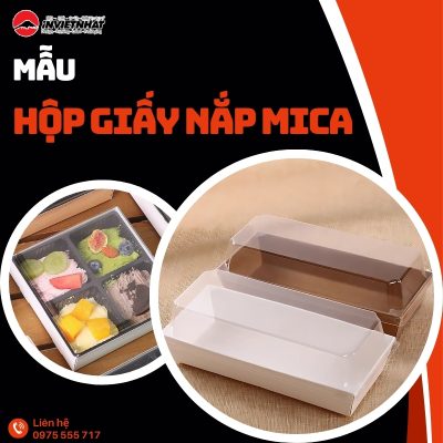 thumb hop giay nap mica