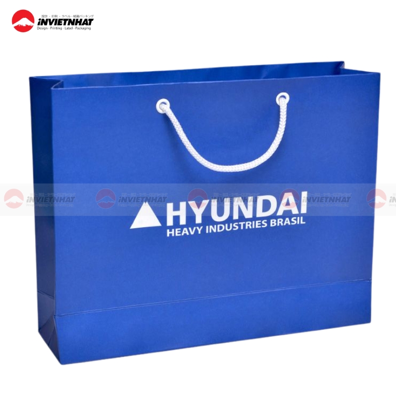 tui giay cao cap mau