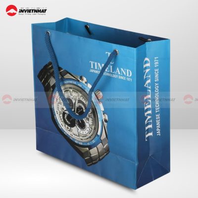 tui giay duplex xanh