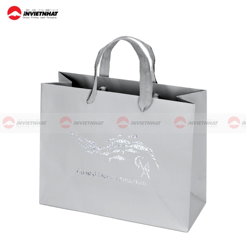 tui giay mau bac Roman Silver