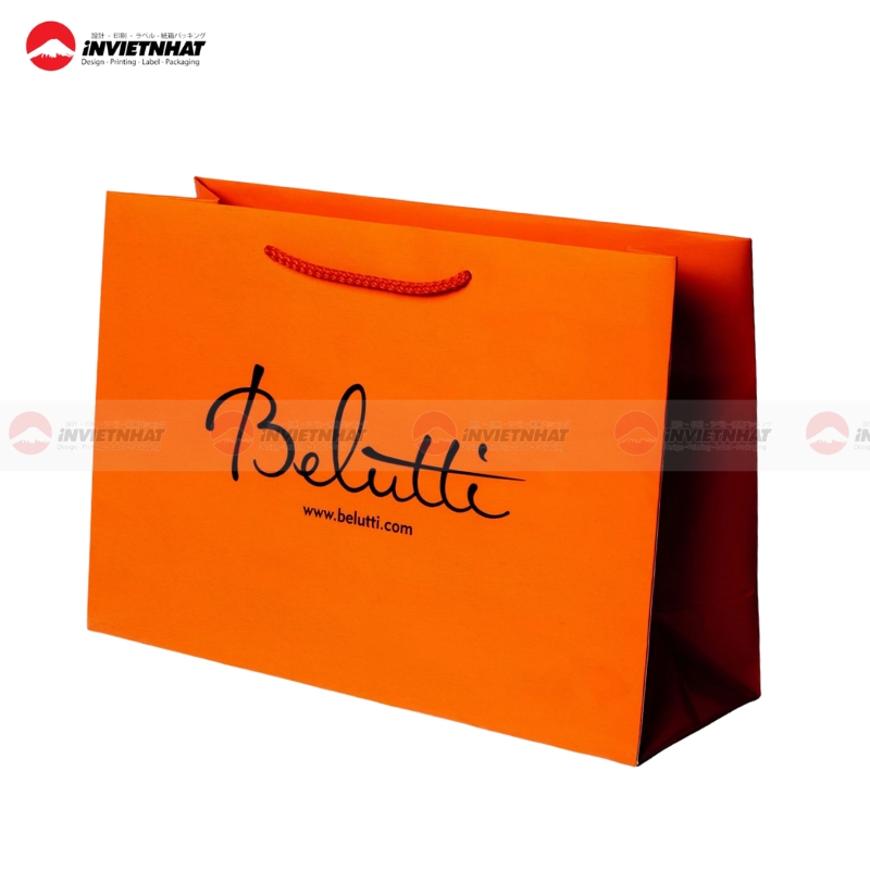 tui giay mau cam dat