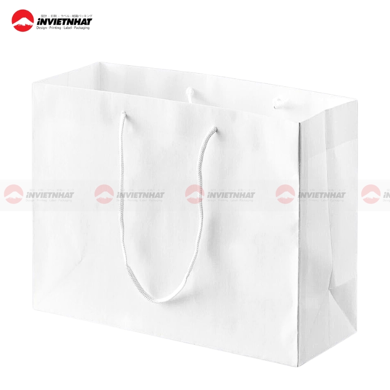 tui giay tong trang 1