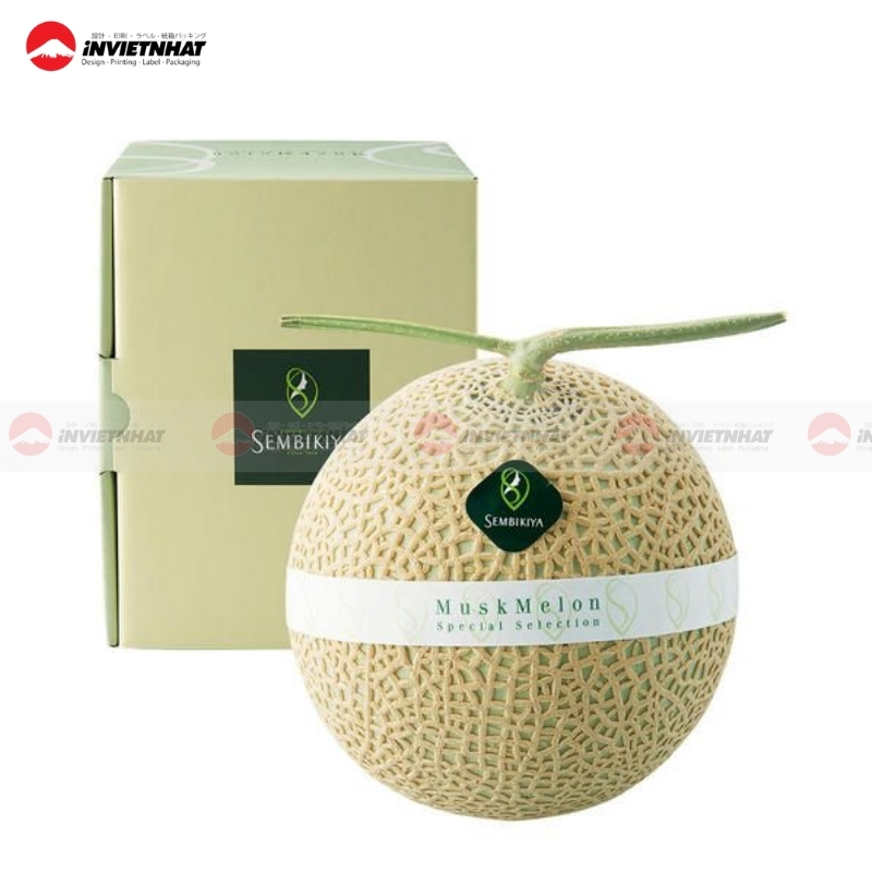 Hộp giấy đóng gói dưa lưới
