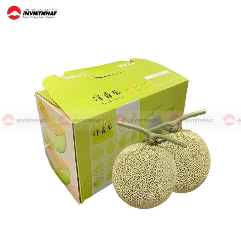 Hộp giấy đựng dưa lưới 2 trái