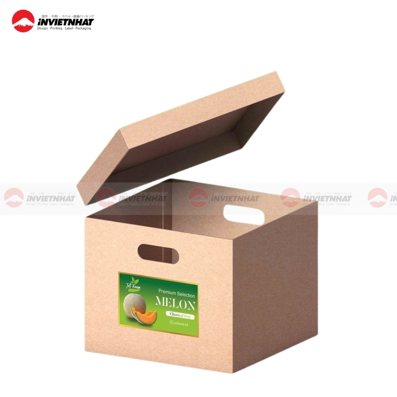 Hộp giấy kraft đựng dưa lưới