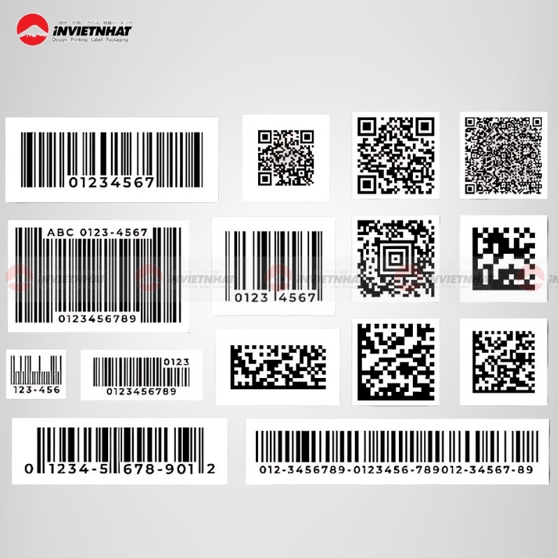 Công nghệ in dữ liệu biến đổi (VDP) là gì? Giải pháp in ấn cá nhân hóa 17 In du lieu bien dong