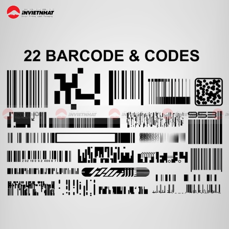 Công nghệ in dữ liệu biến đổi (VDP) là gì? Giải pháp in ấn cá nhân hóa 22 In du lieu dong