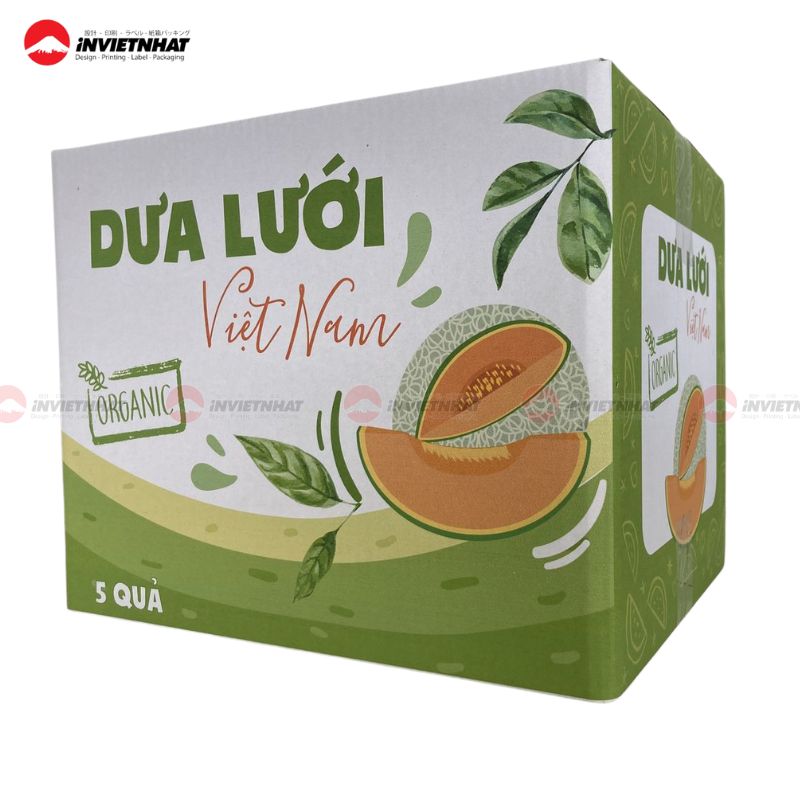 15+ Mẫu hộp giấy carton đựng dưa lưới ĐẸP & Chuyên nghiệp 17 hộp giấy đựng dưa lưới 1