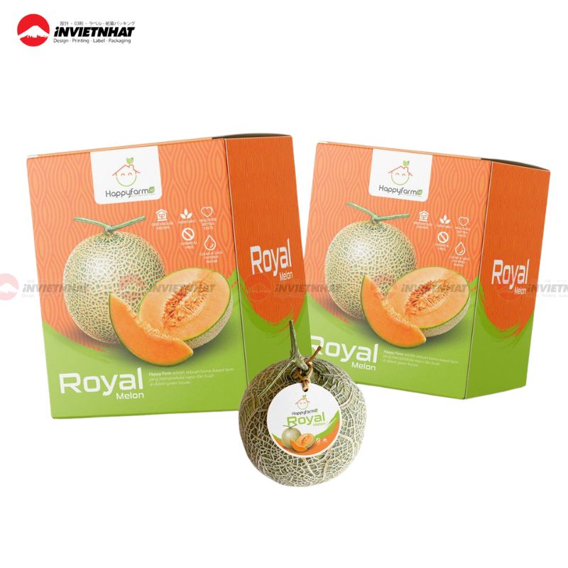 hộp giấy đựng dưa lưới 4