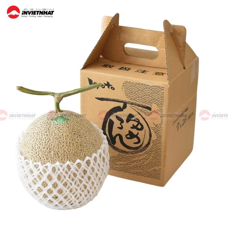 15+ Mẫu hộp giấy carton đựng dưa lưới ĐẸP & Chuyên nghiệp 12 hộp giấy đựng dưa lưới 5