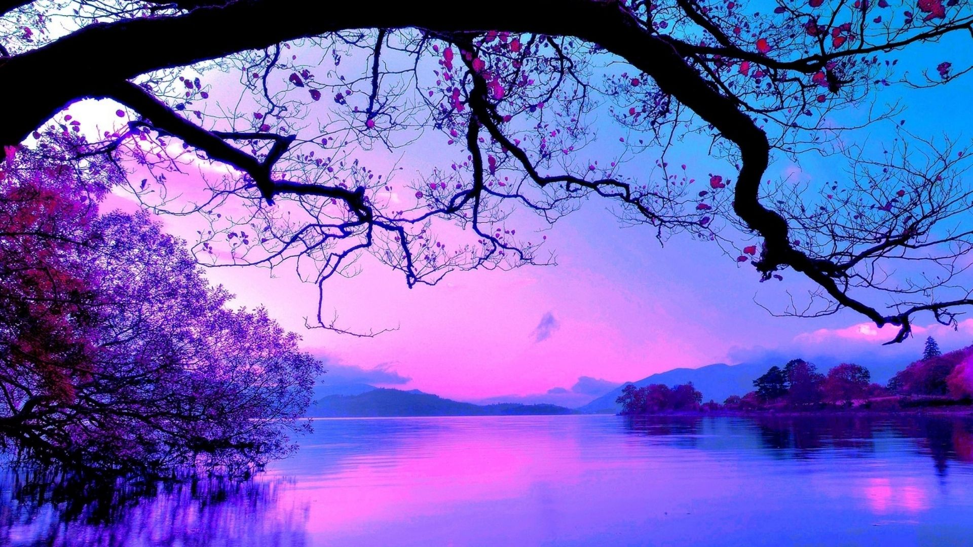 Anh background tim sieu net 4k