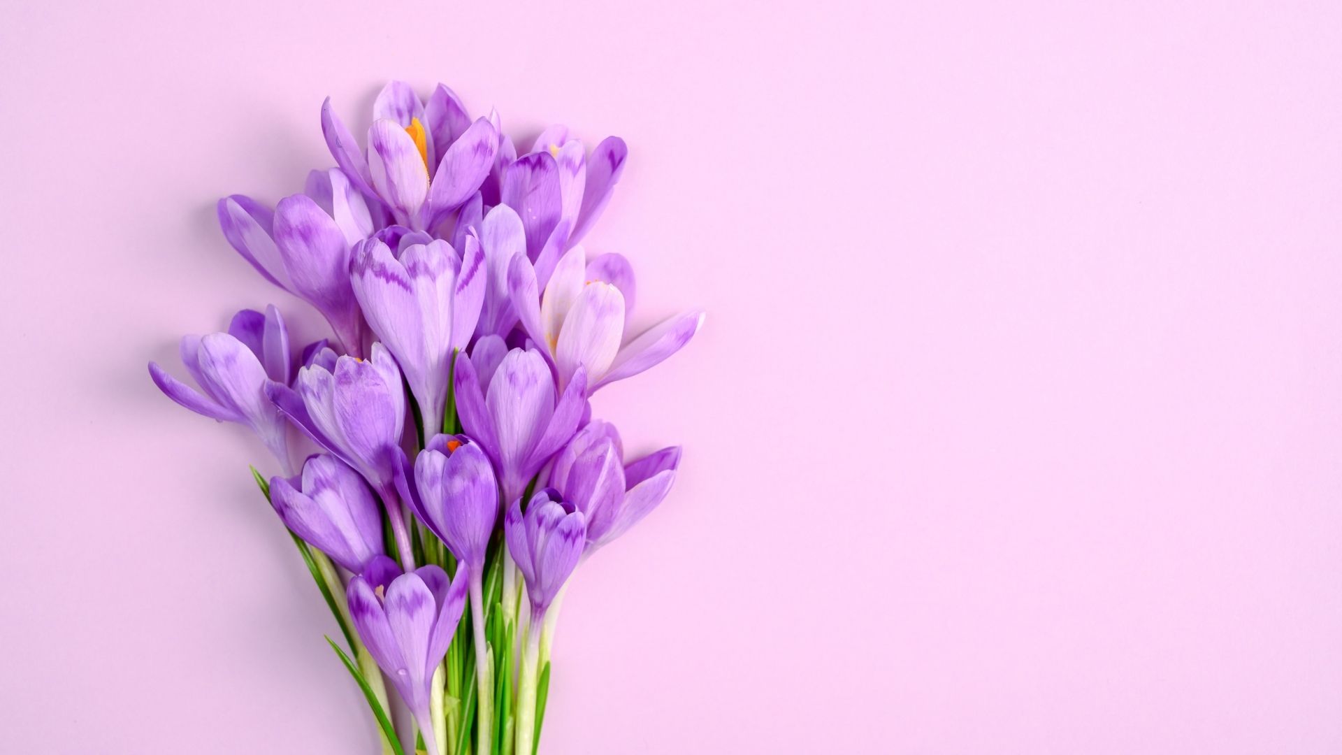 Hinh nen tim nghe thuat