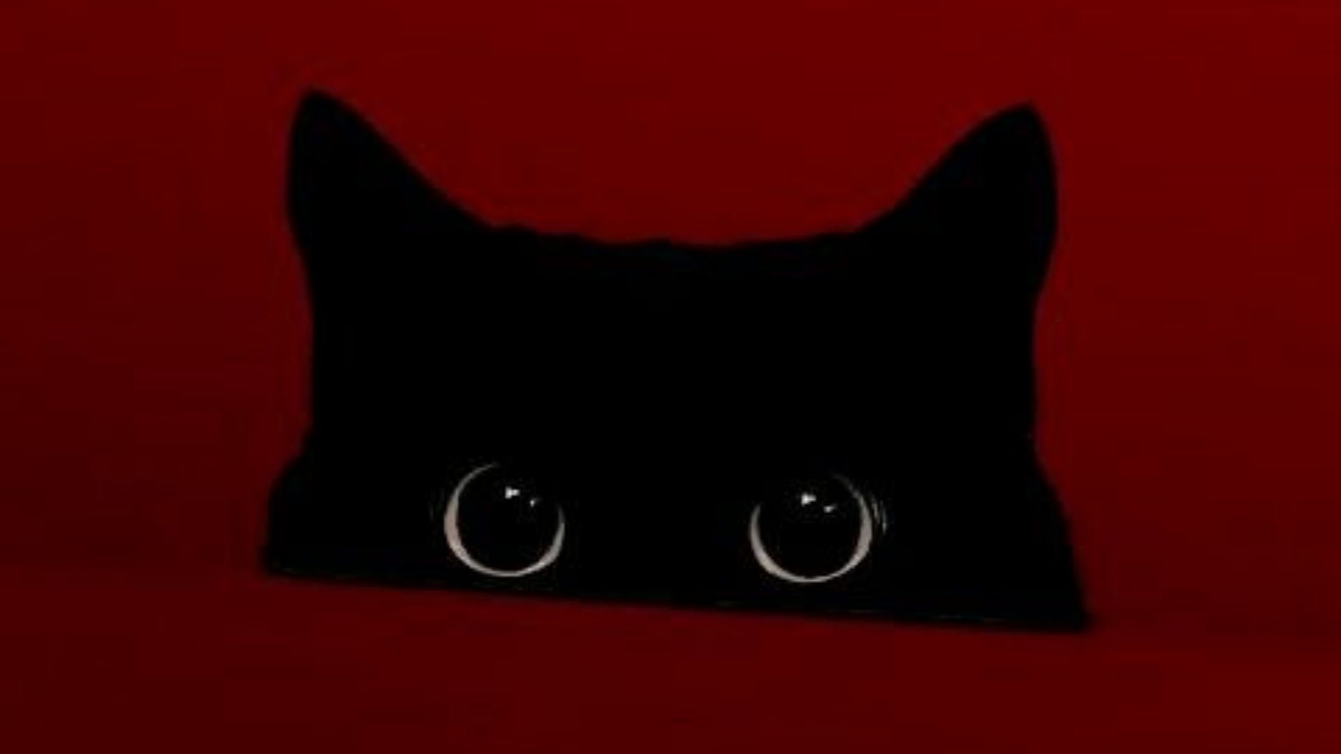 99+ Mẫu background Đỏ ĐẸP, miễn phí tải về hình nền đỏ rực rỡ 171 background hinh nen do