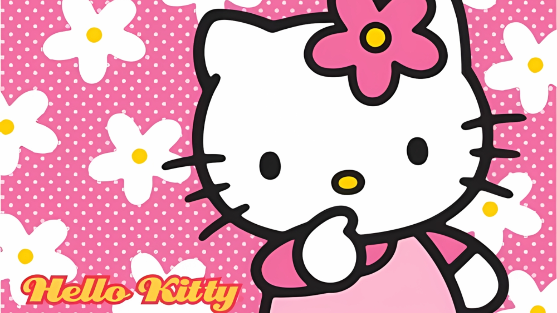 background kitty trang tri su kien