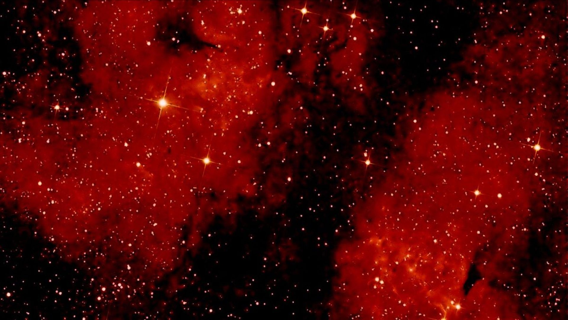 99+ Mẫu background Đỏ ĐẸP, miễn phí tải về hình nền đỏ rực rỡ 156 background sen trang