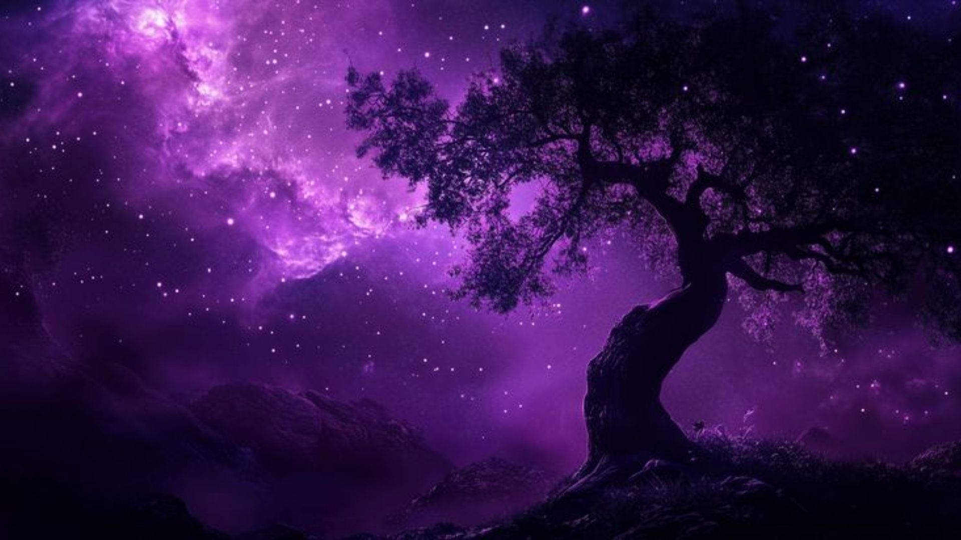 background tim ki bi