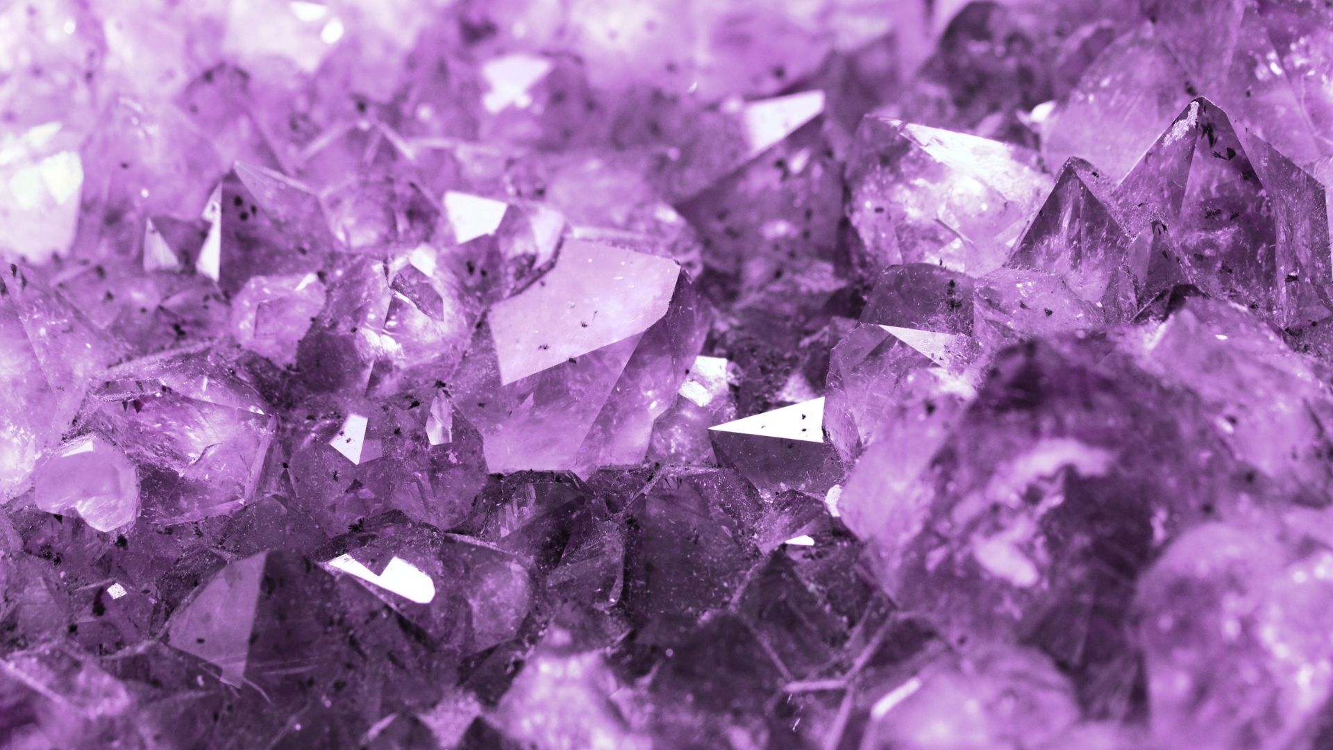 background tim pha le