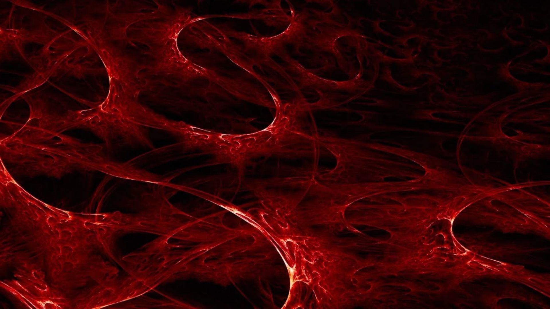 background trang don gian