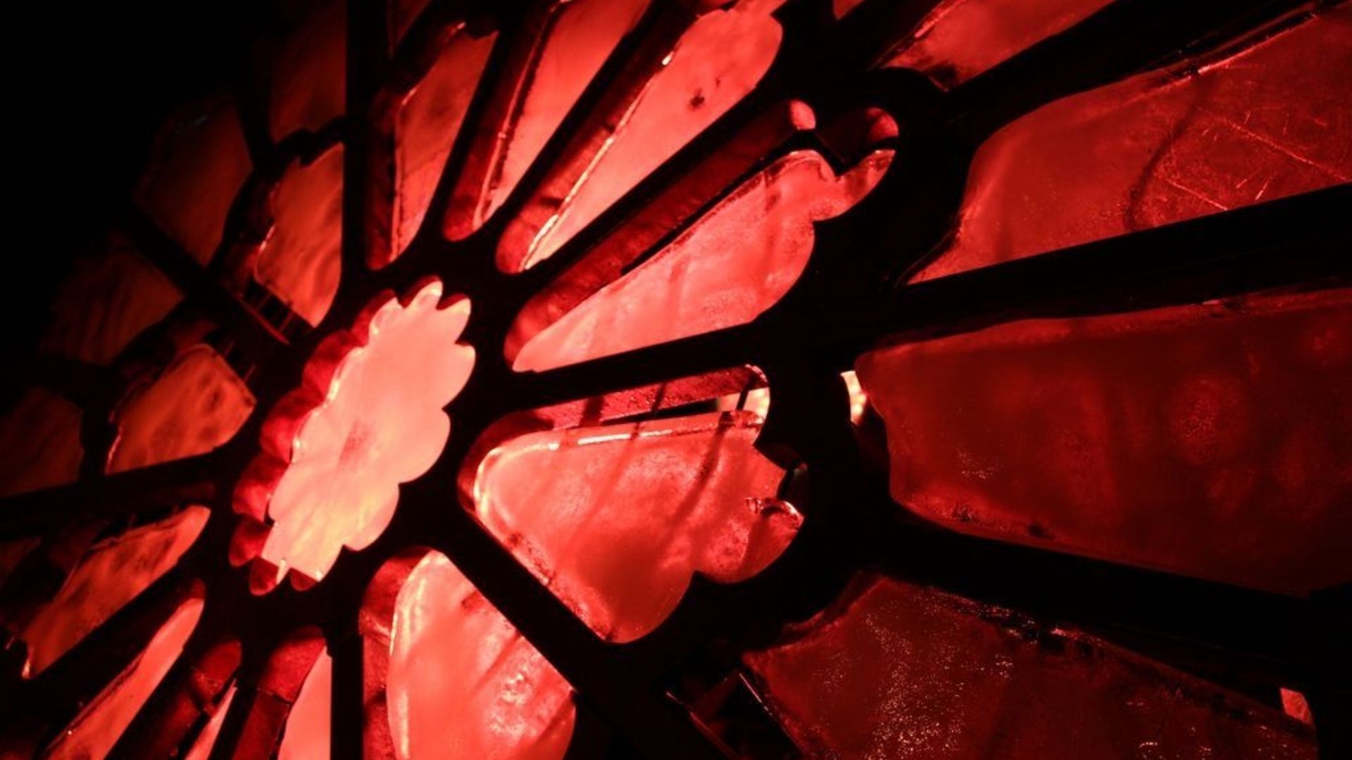 background trang kem