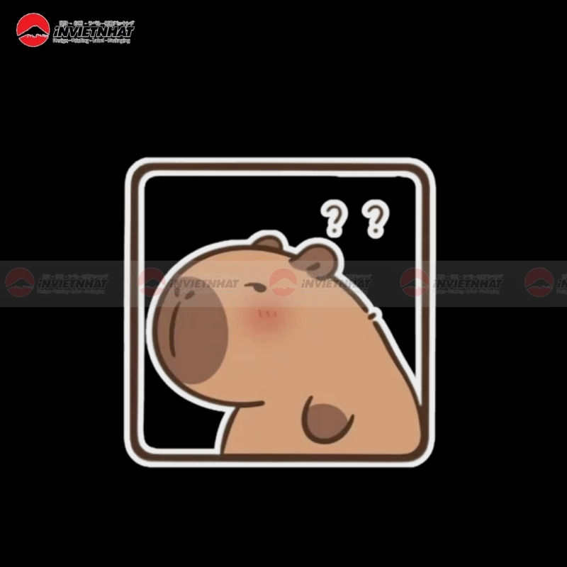 capybara nhan hoi cham