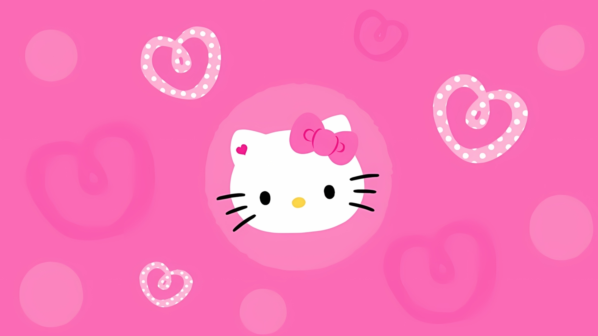 hoa tiet keo keo kitty