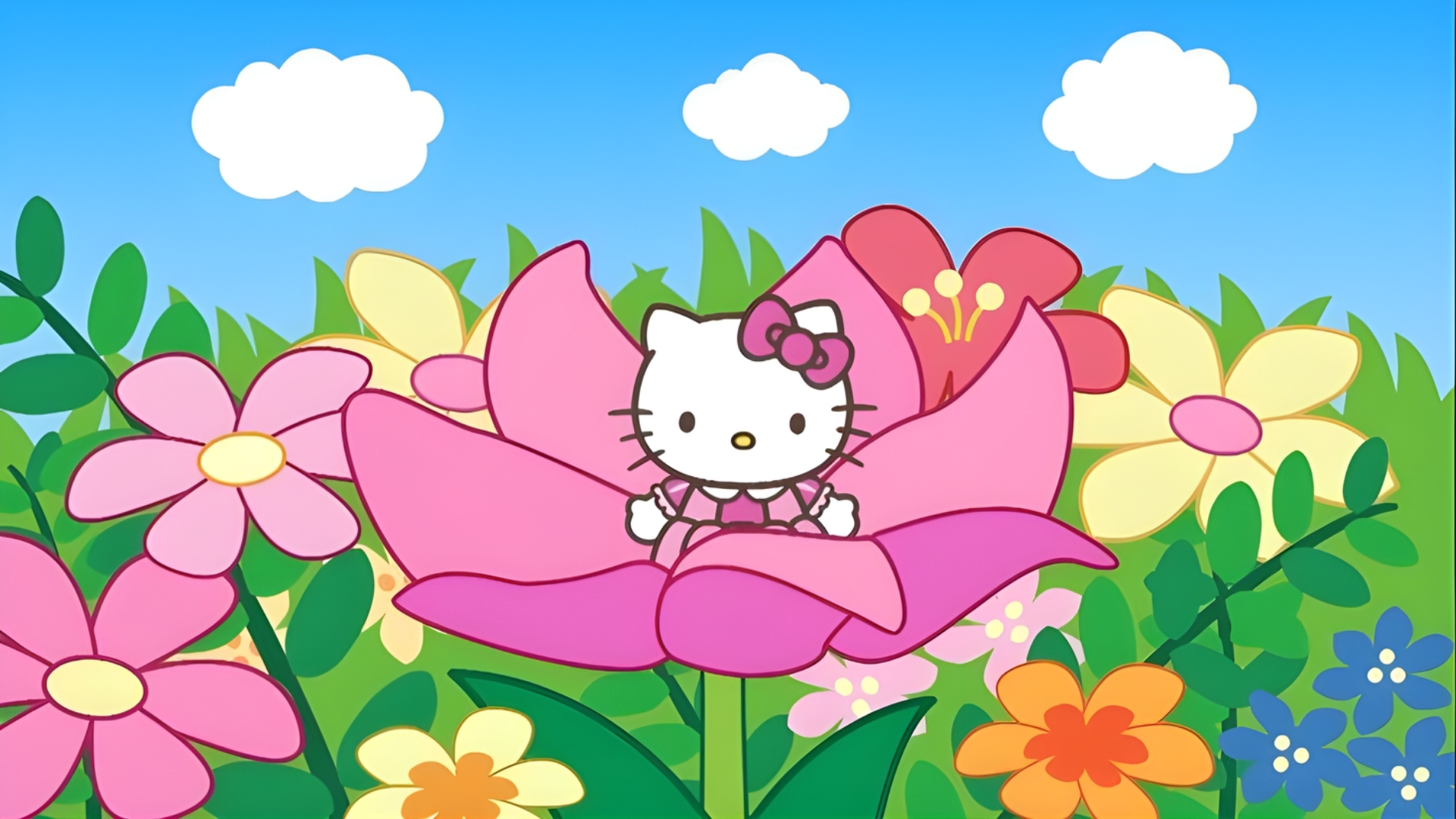 kitty flower garden pattern
