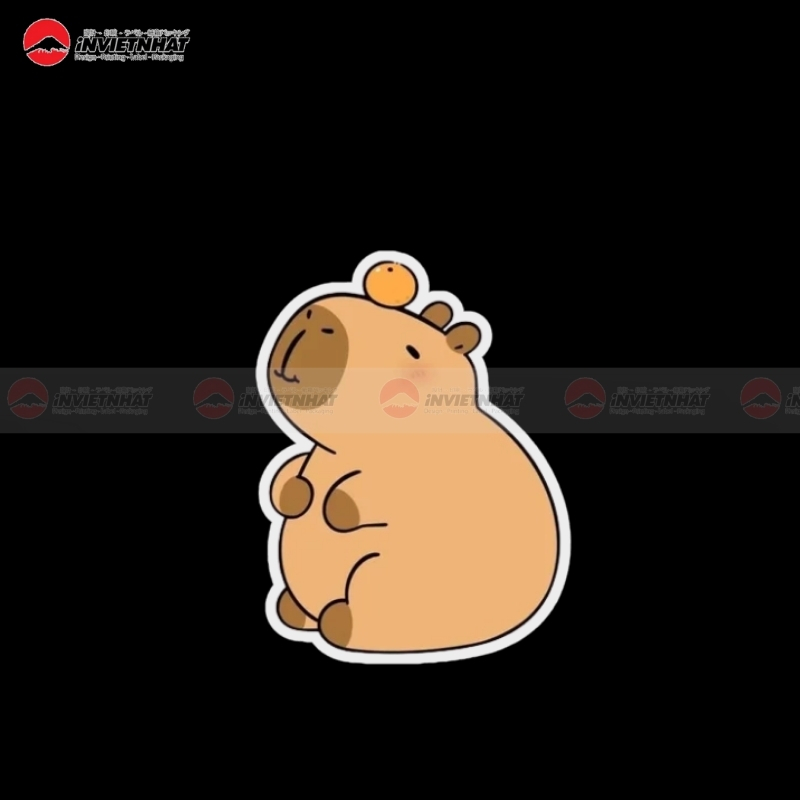 tem nhan capybara he he
