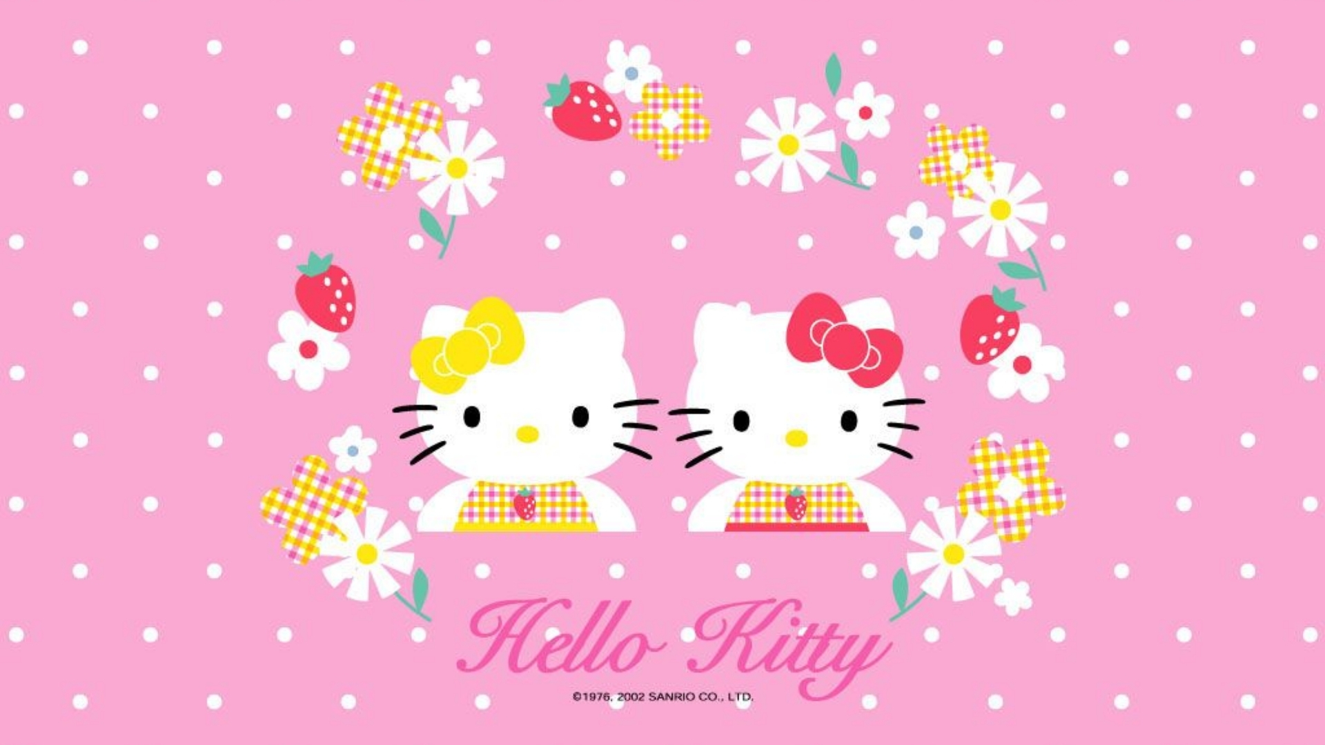 visual meo kitty tiec cong chua