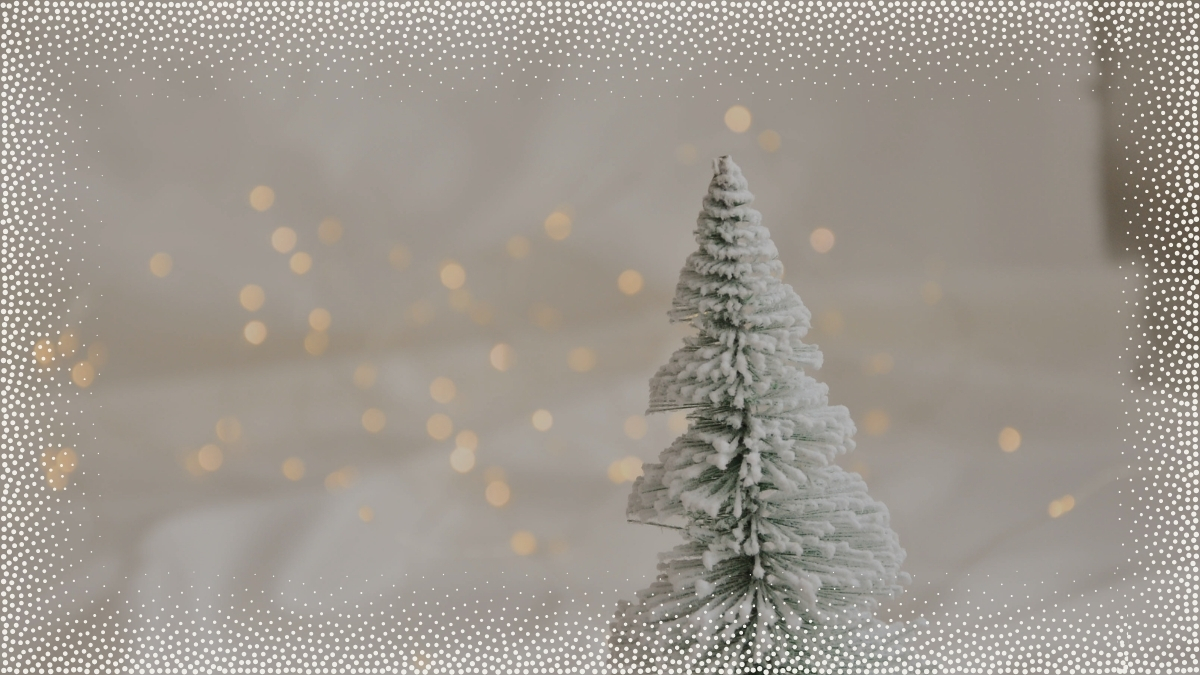 Hinh nen Noel 2025 cay thong vector thoi thuong