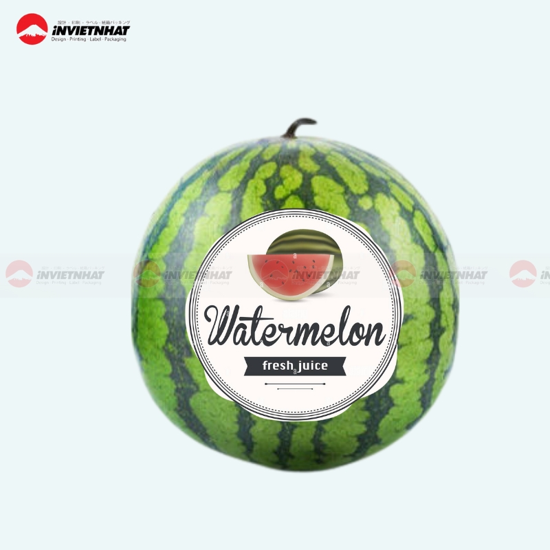 Set decal trang tri dua hau