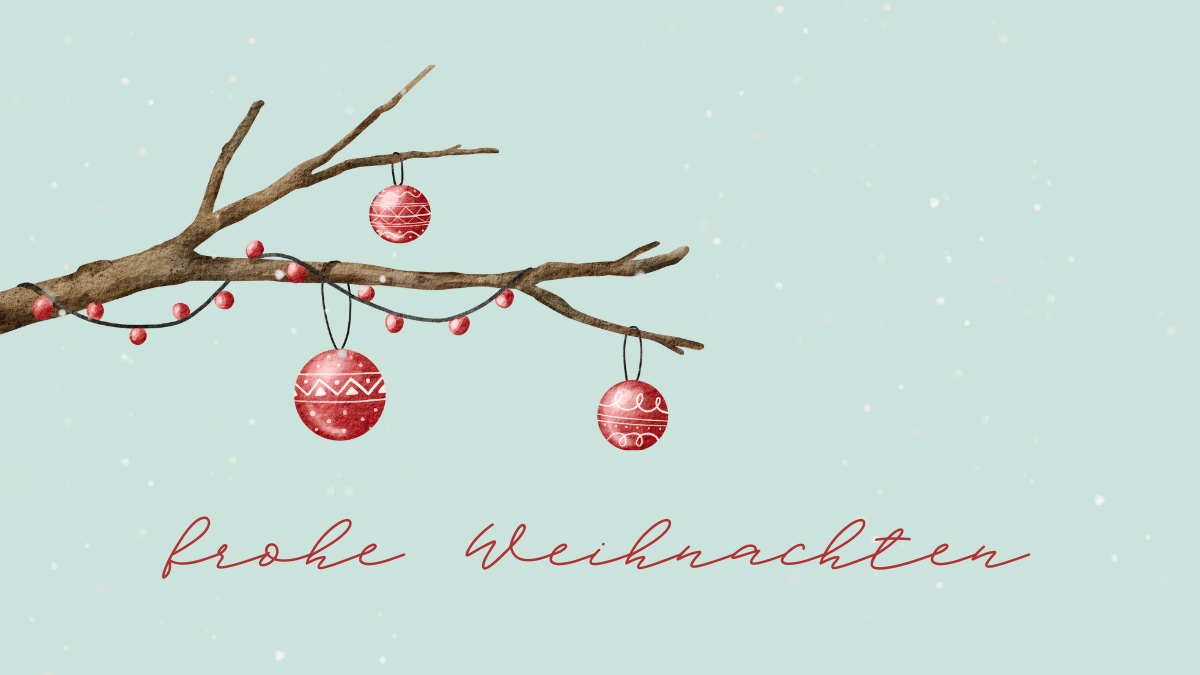 anh noel nhanh cay dep