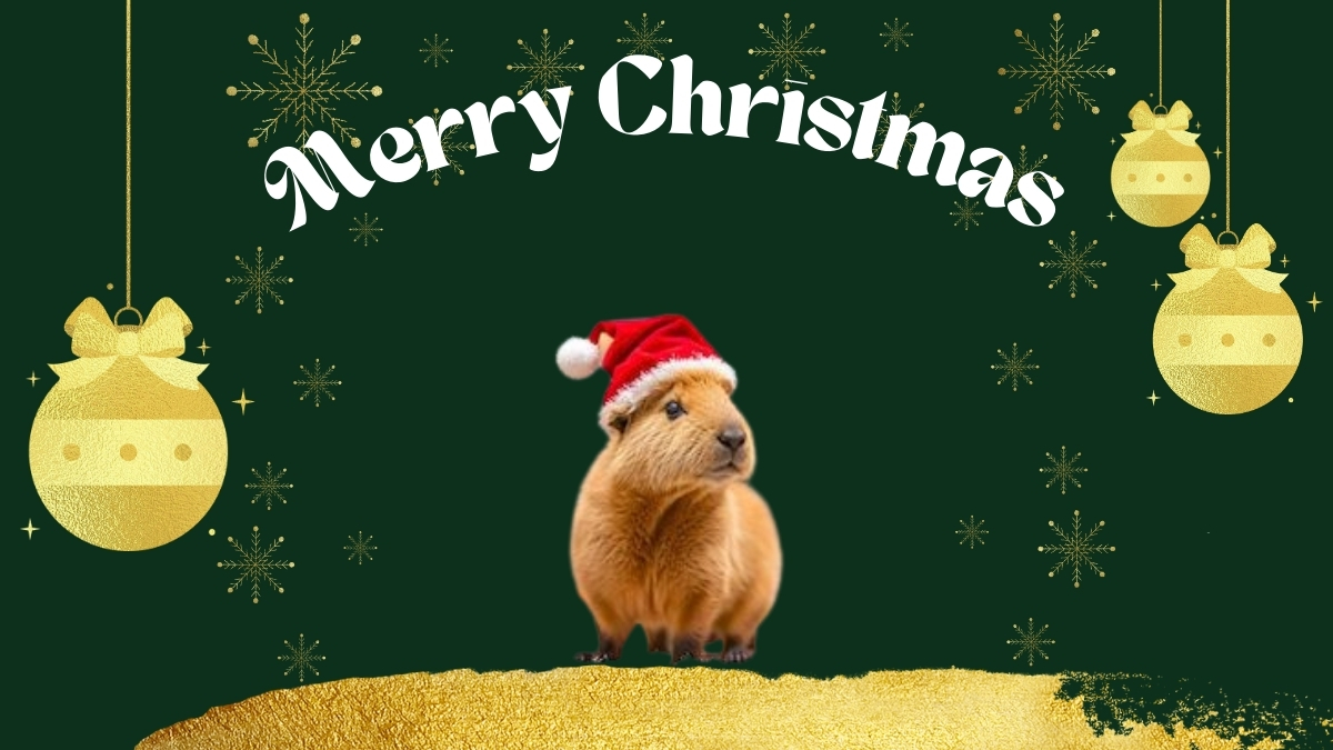 background noel capybara sáng tạo