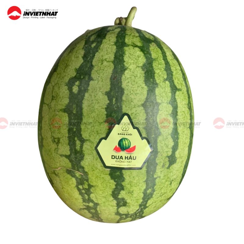 In tem dán dưa hấu 28 tem dán dưa hấu 1