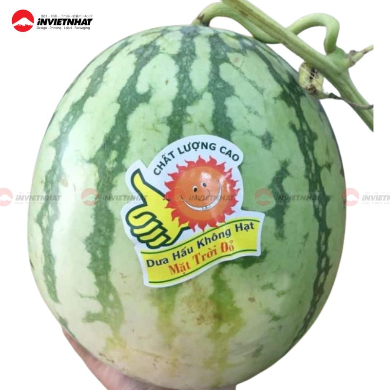 In tem dán dưa hấu 30 tem dán dưa hấu 3