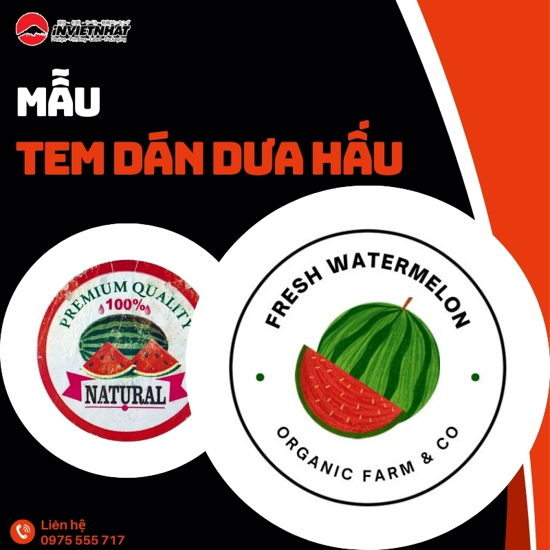 thumb tem dan dua hau