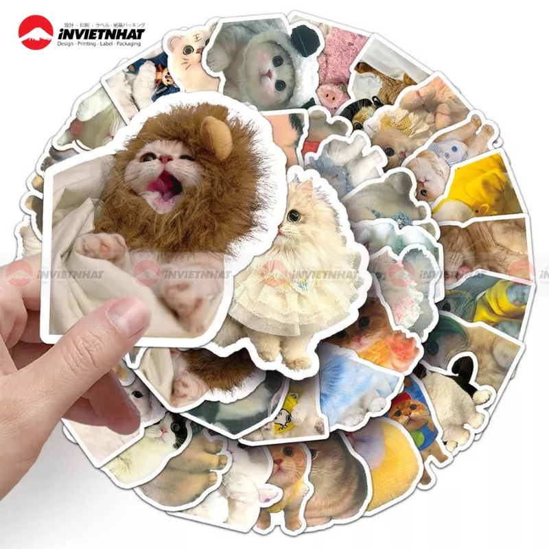 Mau sticker icon hinh meo da dang dep