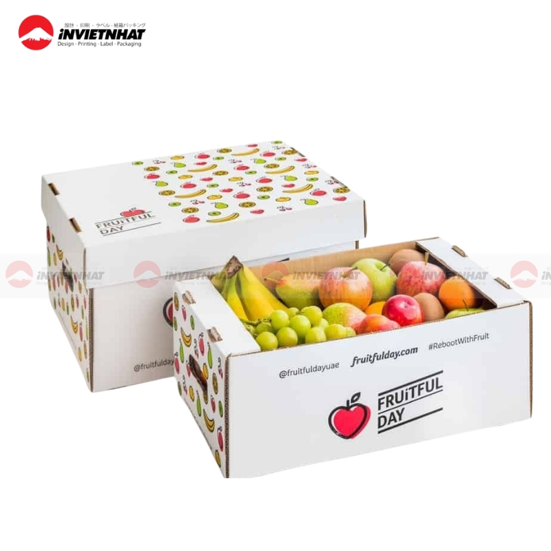 bao bi dung trai cay cao cap