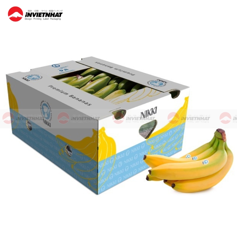 bao bi dung trai cay dep