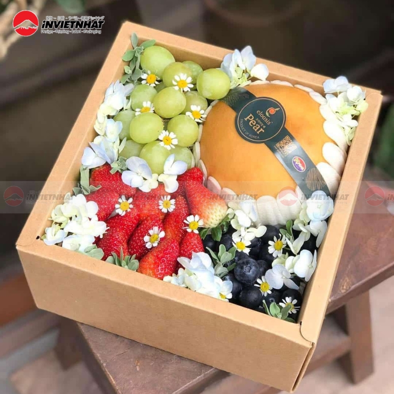 hop dung trai cay qua tang