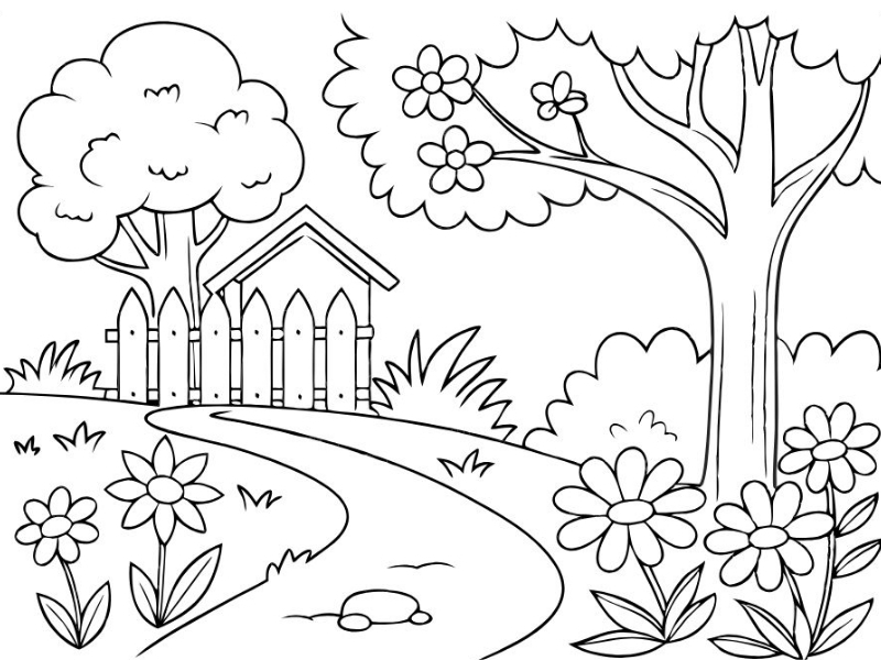 Buc ve phong canh co ban