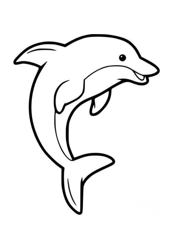 hinh to mau con ca heo