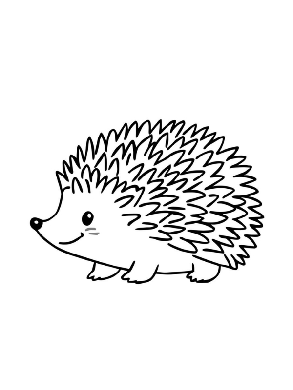 hinh to mau nhim con