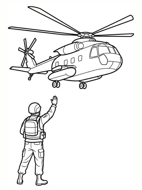 to mau chu bo doi khong quan