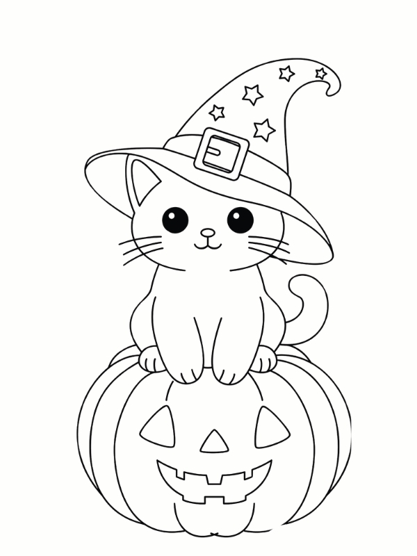 to mau con meo den trang