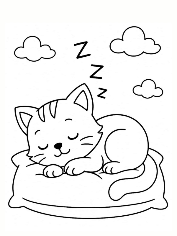 to mau con meo ngu net vien