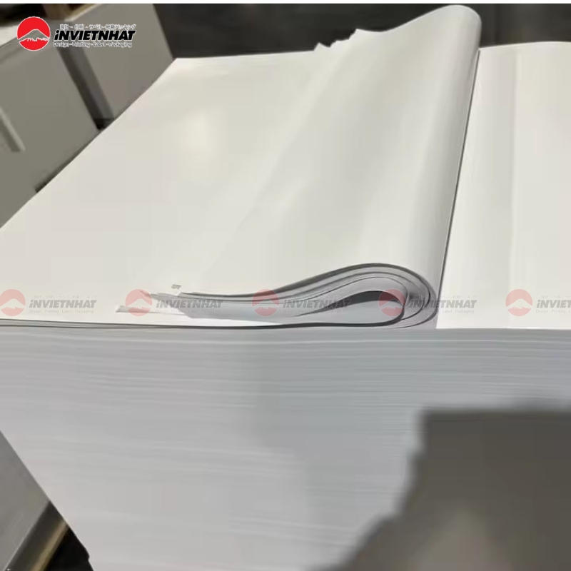 Tổng hợp các loại giấy in catalogue PHỔ BIẾN 2026 1 Chất liệu giấy couche