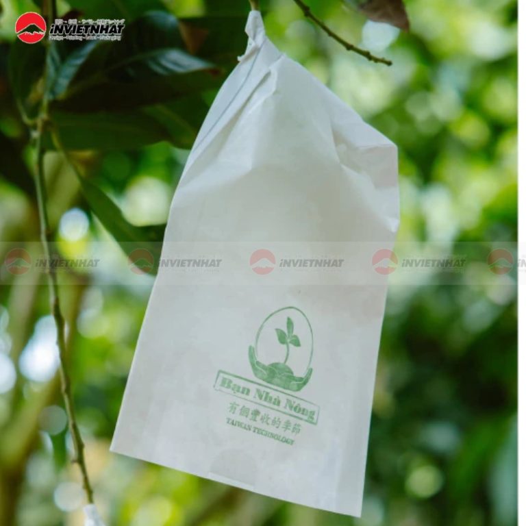 In túi giấy bao xoài