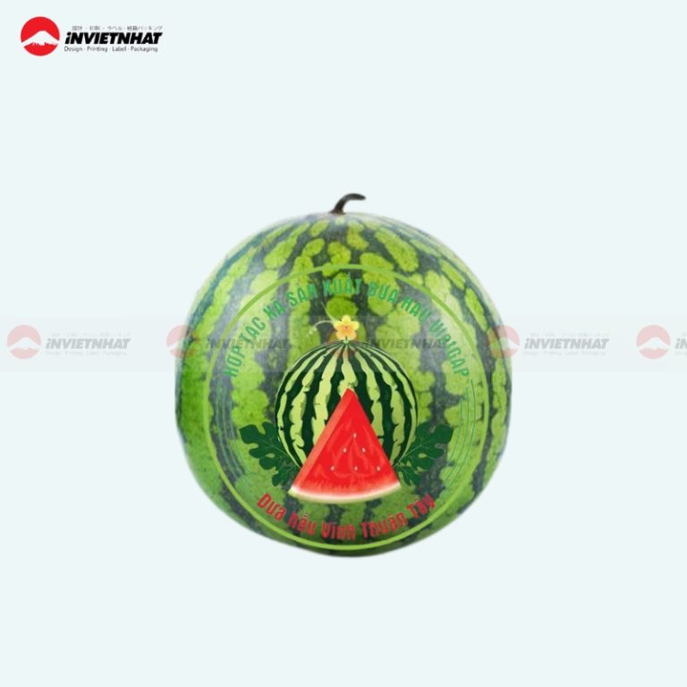 Tem-dan-dua-noi-3D-768x768-1.jpg Tem dan dua noi 3D 768x768 1