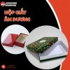 thumbnail Hộp giấy âm dương