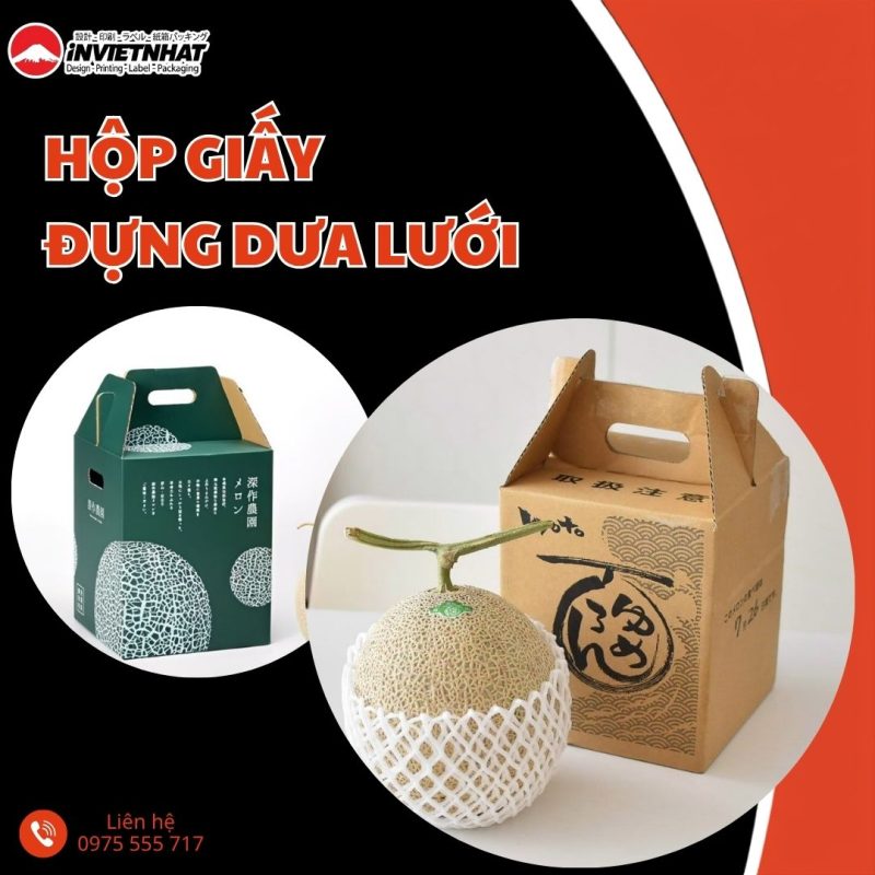 thumbnail hộp giấy đựng dưa lưới
